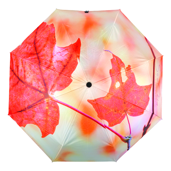 1619748617996053261.jpg UB-228-2.jpg